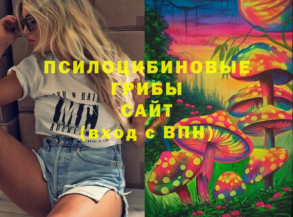 ГАЛЛЮЦИНОГЕННЫЕ ГРИБЫ Заводоуковск