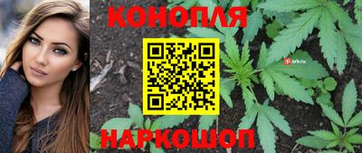 сатива Абинск