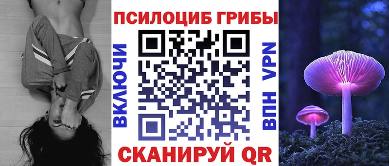 Псилоцибиновые грибы Psilocybe Сердобск