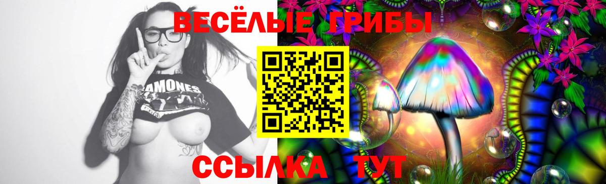 Галлюциногенные грибы Cubensis  Псилоцибиновые грибы Psilocybe  Сердобск 