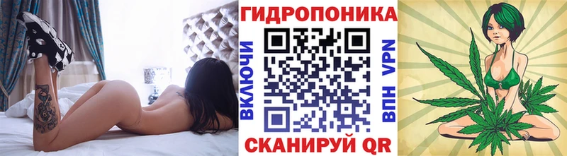 сколько стоит  Сердобск  Конопля OG Kush 